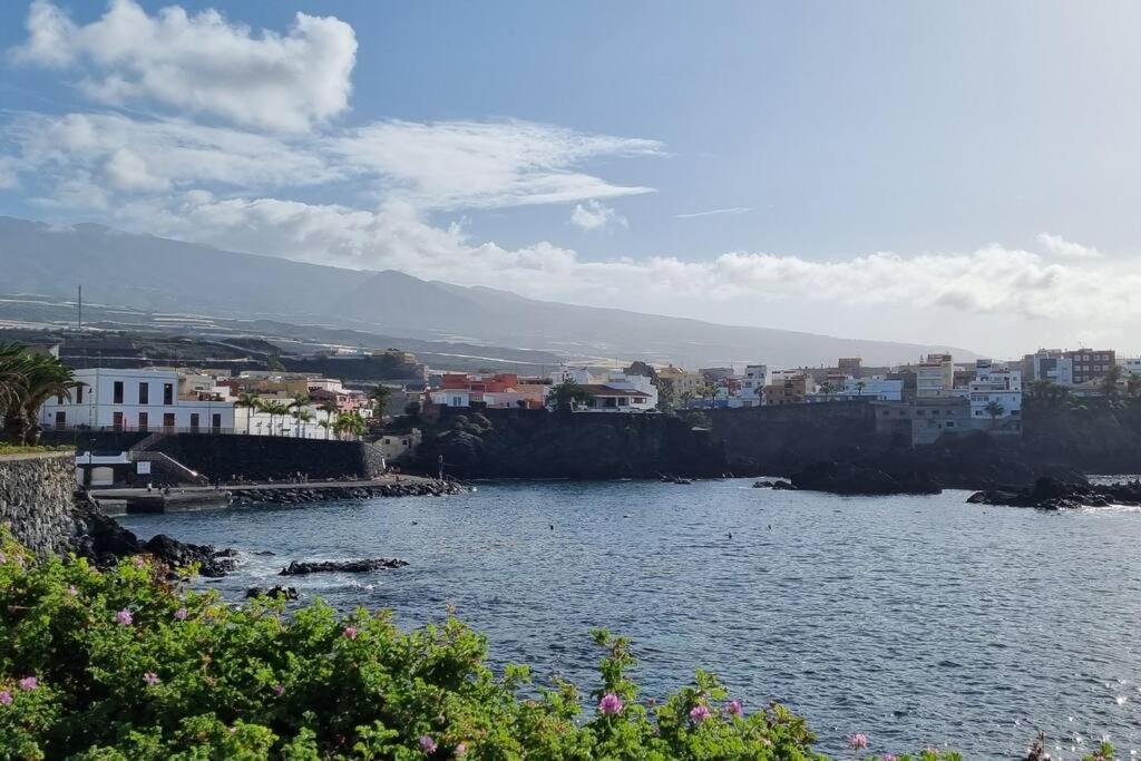 Appartement Calme A 200 M De La Mer Avec Ascenseur Alcalá la Real エクステリア 写真